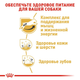 Сухой корм для собак Royal Canin Jack Russel Adultдля породы Джек рассел терьер от 10 месяцев 7.5 кг - изображение 3