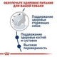 Сухий корм для собак Royal Canin Maxi Ageing 8+ для великих порід більше 26 кг від 8 років 15 кг - зображення 6