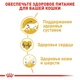 Сухой корм для кошек Royal Canin Maine Coon Adult для породы Мейн-кун от 15 месяцев 10 кг - изображение 3
