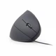Оптическая мышка Gembird MUS-ERGO-01, USB интерфейс, черный цвет - изображение 2