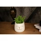 Штучна квітка в горщику Decoramo, 9*14см, (DC-76) (65780-30) - зображення 1