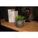Штучна квітка в горщику Decoramo, 9*14см, (DC-74) (65780-11) - зображення 3