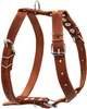 Шлейка Collar одинарна (ширина 25 мм, А: 49-68 см, В: 68-80 см) Коричнева (06386Collar) - зображення 1