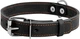 Нашийник Collar одинарний (ширина 25 мм, довжина 38-50 см) Чорний (02191Collar) - зображення 1