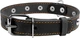 Ошейник Collar одинарный с украшениями (ширина 25 мм, длина 38-50 см) Черный (02231Collar) - изображение 1