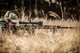 Прилад Nightforce ATACR 5-25x56 F1 ZeroS 0.1Mil сітка Mil-R з підсвіткою - зображення 5