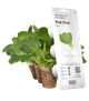 Wymienny wkład Click&Grow Bok Choy 3 szt (4742793009131) - obraz 1