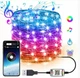 Світлодіодна гірлянда USB Smart з додатком RGB 100 LED SK 11423020 10 м мультиколор - зображення 1