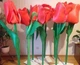 Изолон цветной 8 мм синий - изображение 6
