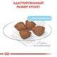 Сухой корм для собак Royal Canin Mini Starter для мелких пород до 10 кг беременных и кормящих 8 кг - изображение 4