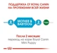 Сухой корм для собак Royal Canin Mini Starter для мелких пород до 10 кг беременных и кормящих 8 кг - изображение 5