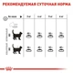Сухой корм для котов Royal Canin Oral Care при образовании зубных камней от 12 месяцев до 7 лет 8 кг - изображение 6