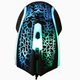 Мишка Havit HV-MS736 USB Black (23864) - изображение 3