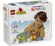 Конструктор LEGO DUPLO Догляд за бджолами та вуликом (10419) - изображение 7