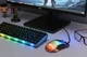 Клавиатура 2E Gaming KG345 RGB 68key USB Transparent (2E-KG345TR) - изображение 8