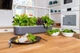 Розумний сад - гідропонна установка для рослин Click&Grow Smart Garden 9 (8899 SG9) - изображение 2