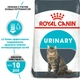 Сухой корм для котов Royal Canin Urinary Care для мочевыделительной системы от 12 месяцев до 12 лет 10 кг - изображение 2