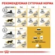 Сухой корм для котов Royal Canin Sphynx Adult породы Сфинкс от 12 месяцев 10 кг - изображение 6