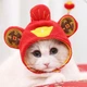 Шапка для кошек и собак "BALY" Red Size S\M - изображение 1