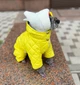 В'язана шапка капор для собак WowPaw біла розмір S/M - изображение 6