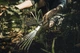 Grabie ręczne Fiskars Xact (1027044) - obraz 6