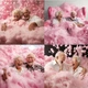Пена для душа MODAY FOAM BUBBLES PINK CHAMPAGNE Пузырчатая пена с ароматом розового шампанского 150 мл - изображение 4