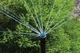 Форсунка Hunter MP 1000 Rotator радіус від 2,5 до 4,5 м сектор від 90 до 210° - зображення 7