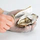 Нож для устриц Tescoma Presto seafood (421080) - изображение 3