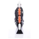 Роликові ковзани Tempish COCTAIL MATE (38-41) - изображение 7