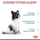 Cухий корм для цуценят Royal Canin X-Small Puppy 500 г - изображение 3
