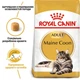 Набір кормів для котів Royal Canin Maine Coon Adult 2 кг + 4 pouch вологого корму - домашній птах - зображення 5