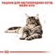 Набір кормів для котів Royal Canin Maine Coon Adult 2 кг + 4 pouch вологого корму - домашній птах - зображення 6