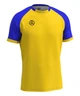 Футболка волейбольная мужская RIGO OMEGA Yellow-Blue L - изображение 1