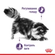 Сухий корм для котів Royal Canin Appetite Control 2 кг - изображение 2