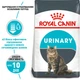 Royal Canin Urinary Care сухий корм для котів 2 кг - изображение 2