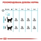 Сухий корм для котів Royal Canin Urinary Care 10 кг - изображение 6