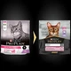 Сухой корм Pro Plan Adult Delicate Turkey для кошек с чувствительным пищеварением (индейка), 400 г - изображение 2