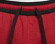 Шорты баскетбольные Jordan Sport Dri-FIT Men's Diamond Shorts размер L (DH9075-687) - изображение 5