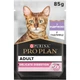 Консервы Purina Pro Plan Nutrisavour Delicate (пауч) для кошек кусочки индейки в подливе, 85 г - изображение 1