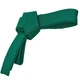 Пояс для кімоно зелений Zelart Champion Heroe 4075 довжина 300см Green - зображення 1