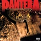 PANTERA – The Great Southern Trendkill (LP, U.S.A.) - изображение 1