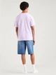 Футболка мужская Levi's A06370023 L Светло-фиолетовая (5401039050304) - изображение 2