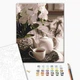Картина по номерам Чаепитие в орхидеях (BS51831) Brushme 40x50 см - изображение 1