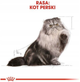 Sucha karma Royal Canin Persian Adult dla kotów dorosłych rasy perskiej 2 kg (3182550702614) - obraz 5