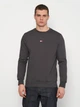 Свитшот мужской Tommy Hilfiger 11240.3 S (44) Серый (2000000003153) - изображение 1