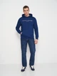 Худи мужское Tommy Hilfiger 11262.4 L (48) Электрик (2000000004907) - изображение 3