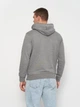 Худи мужское Tommy Hilfiger 11263.4 XL (50) Серое (2000000005133) - изображение 2