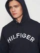 Худи мужское Tommy Hilfiger 11264.1 2XL (52) Темно-синее (2000000005171) - изображение 4