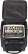 Комбоусилитель для акустической гитары Joyo BSK-40 (White) (R127994) - изображение 9