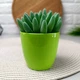 Маленький цветочный горшок для кактусов и суккулентов 0.17 л Матильда Алеана Олива - изображение 3